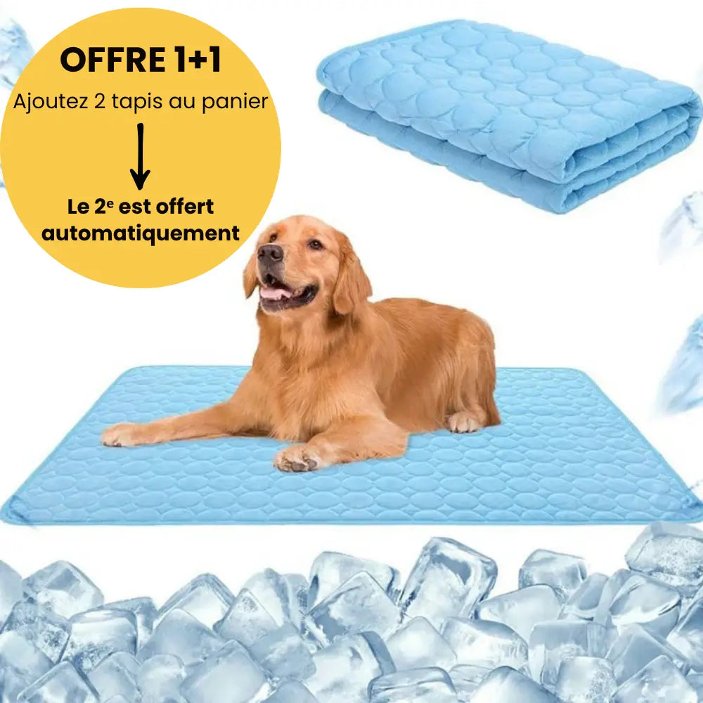 CoolPaws™| Tapis de fraîcheur apaisant pour vos compagnons