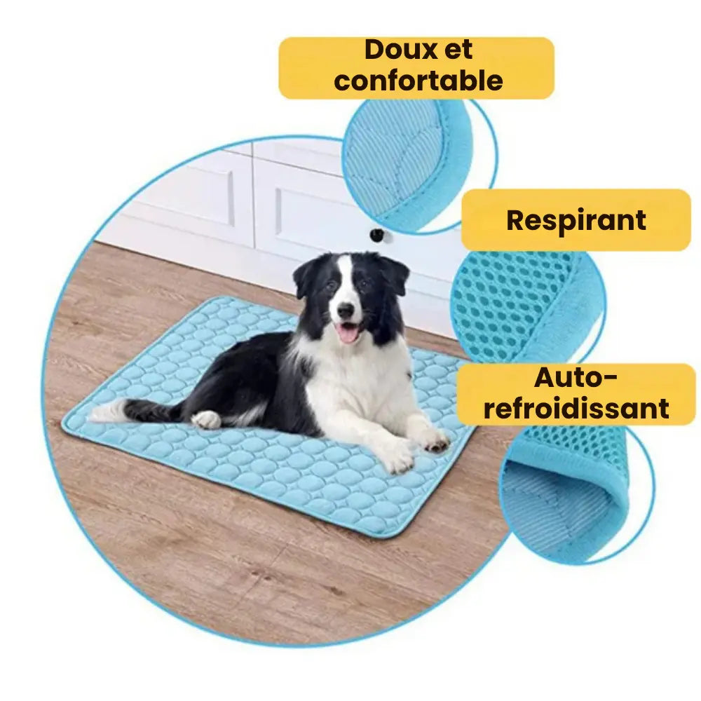 CoolPaws™| Tapis de fraîcheur apaisant pour vos compagnons